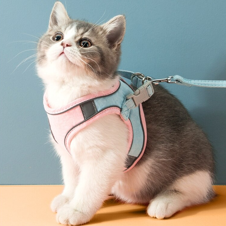 Cat Vest Harness Leash Set