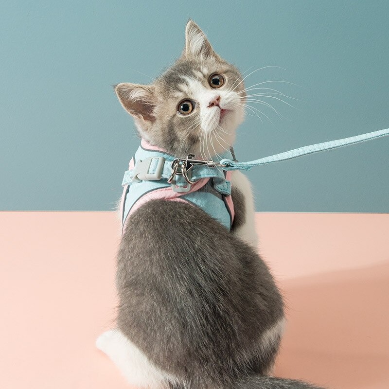 Cat Vest Harness Leash Set